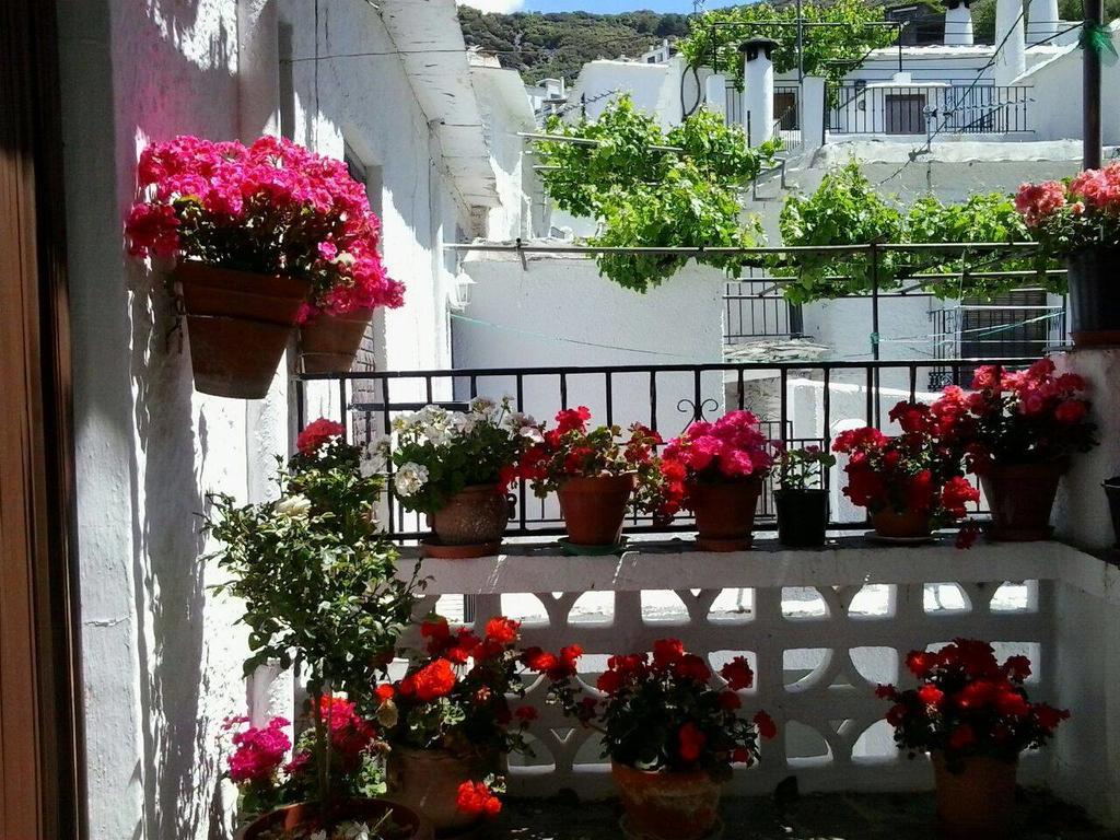 Vila Casa El Porton Bubión Exteriér fotografie